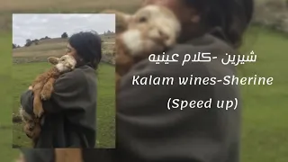 شيرين كلام عينيه Kalam Eineh Speed Up Lyrics 