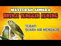 Download Lagu BRINJI TUNGGIR KUNING + SUARA AIR MENGALIR || MASTERAN JAWARA || TERAPI AIR MENGALIR