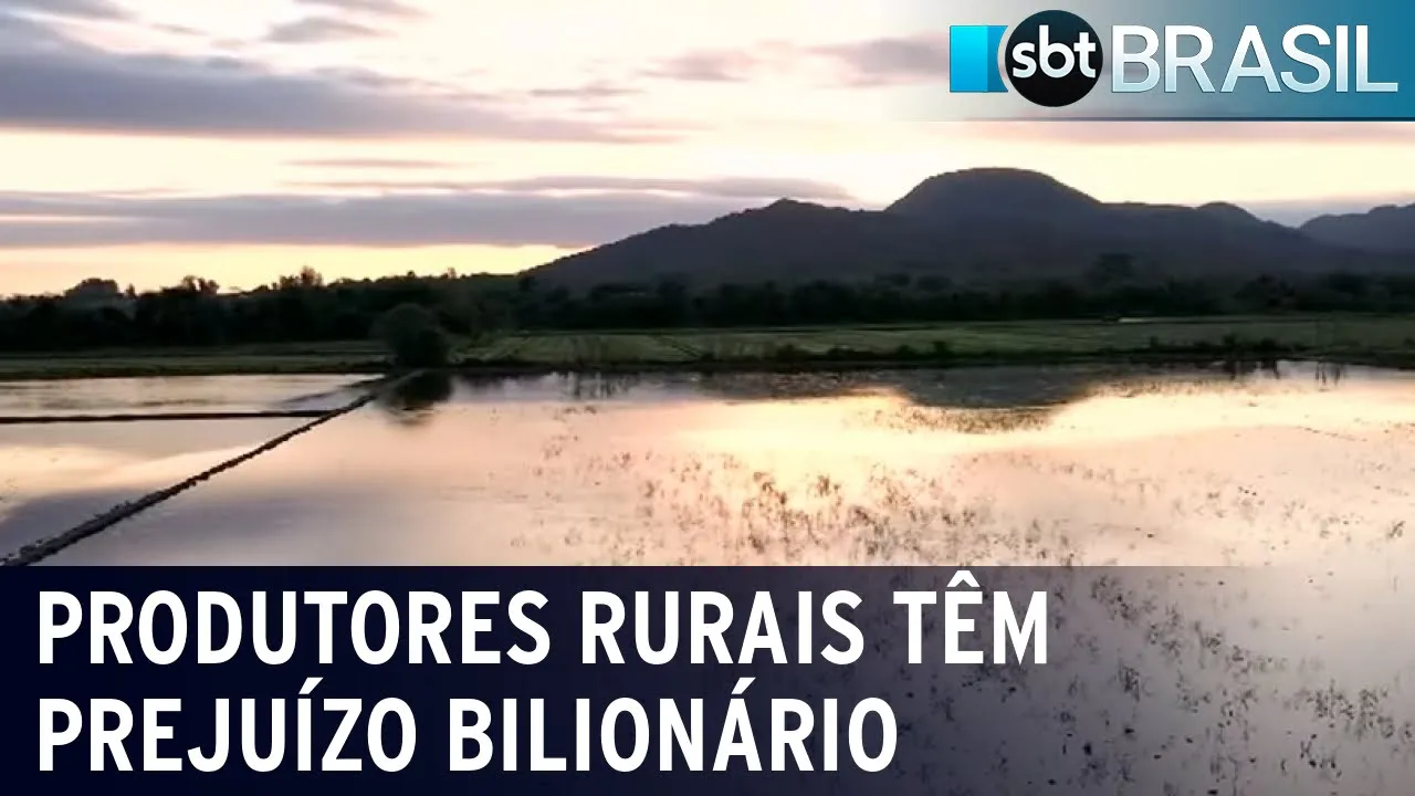 Agricultura e pecuária acumulam prejuízo bilionário pelas chuvas no sul | SBT Brasil (30/09/23)