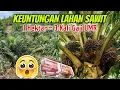 Lagu Ide Bisnis Lahan Sawit keuntungan Per 1 Hektar