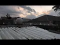 Lewis Capaldi - Bruises
