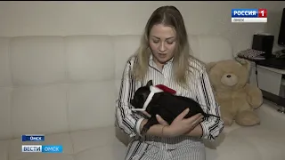 Живой символ наступившего года прямо в квартире