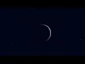 Download Lagu Mr Kitty: After Dark (Space Music Video)