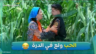 الحب ولع في الذرة إجري    فيلم عسكر في المعسكر دندنها