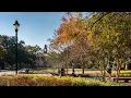 Safety at LSU