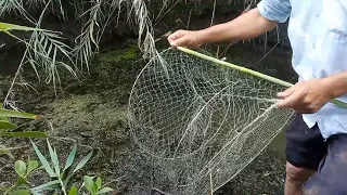 صيد الجوابى الريفيه صيد سمك البلطى بالجوبيه وطريقه العملCatch Fish With Big Traps 