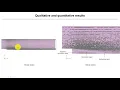 Tutorial 7 - Part 1