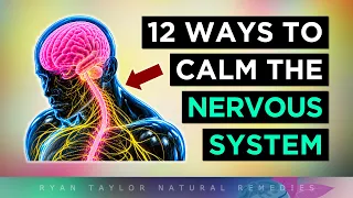 12 Ways To Calm Your Nervous System