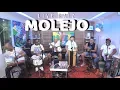 Download Lagu LIVE RAIZ MOLEJO - Sim, é Samba!