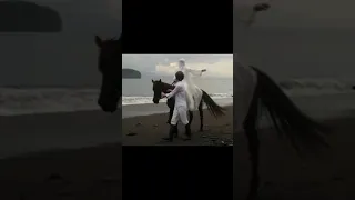 اميرك جاء أميرة بالي لايك اكسبلور 