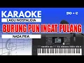 Download Lagu Karaoke - Burung Pun Ingat Pulang // Nia Daniaty ( Nada Pria )