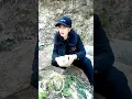 Download Lagu Mastran burung lucu viral kocak ngakak meme funny memes moments