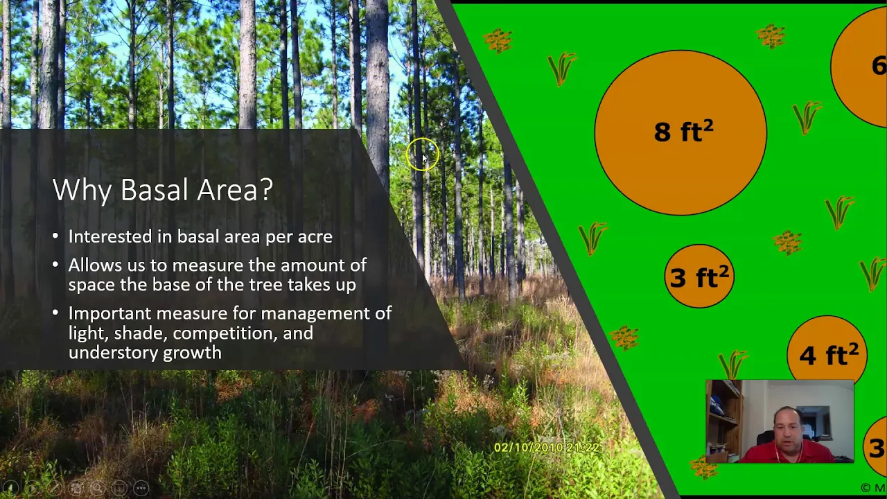 Standing Tree Measurements- 3 (Basal Area)