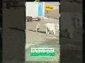 Download Lagu Hening di Balik Jeruji - Tunas Tambuan | Lagu Populer Viral 2025