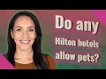 Do any Hilton hotels allow pets