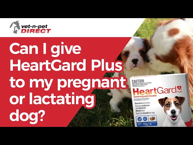 HeartGard Plus Chewables Green - for Dogs 12-22kg