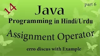 14 java programming Assignment Operators
