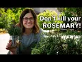 Download Lagu ROSEMARY GROWING GUIDE: Planting, Growing \u0026 Propagation