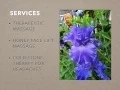 Frederick Maryland Massage Therapy