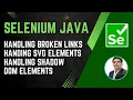 Session 39 - Selenium with Java Handling Broken Links SVG Elements Shadow DOM
