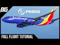 Beginner Friendly PMDG B737 Tutorial MSFS