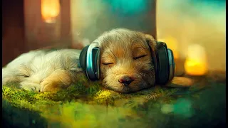 11 HOUR LoFi Dog Pet Therapy Music Lo Fi CALMING MUSIC For Studying PET SEPARATION ANXIETY  11 HOUR LoFi Dog Pet Therapy Music Lo Fi CALMING MUSIC For Studying PET SEPARATION ANXIETY