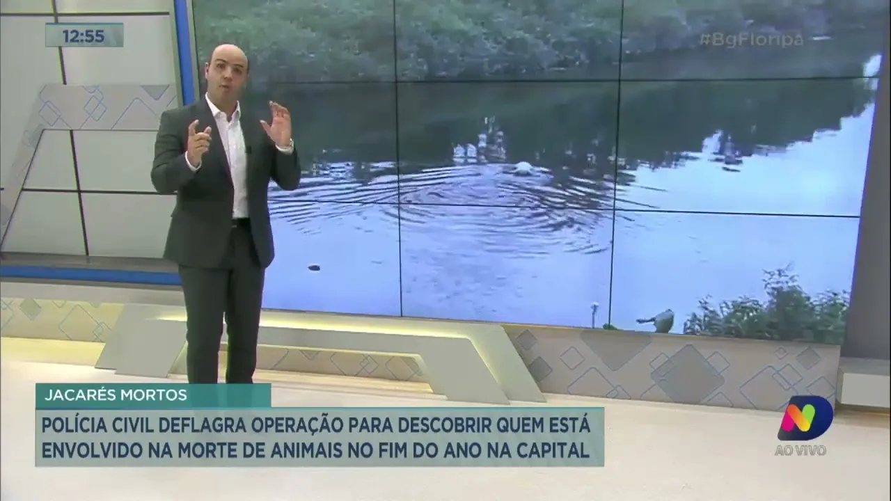 Polícia Civil deflagra operação para descobrir quem está envolvido na morte de jacarés