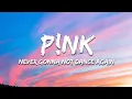 Download Lagu P!NK - Never Gonna Not Dance Again (Lyrics)