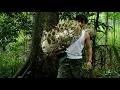 Download Lagu CEO Leaves the city for the forest – Finding yourself amidst nature \u0026 Wildlife