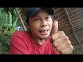 Download Lagu NGAKALIN IKAN METIK .IKAN YG GA ADA GIGI NYA ..PMC UNDUY RAWAKALONG!!!