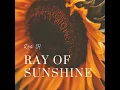 Ray of Sunshine