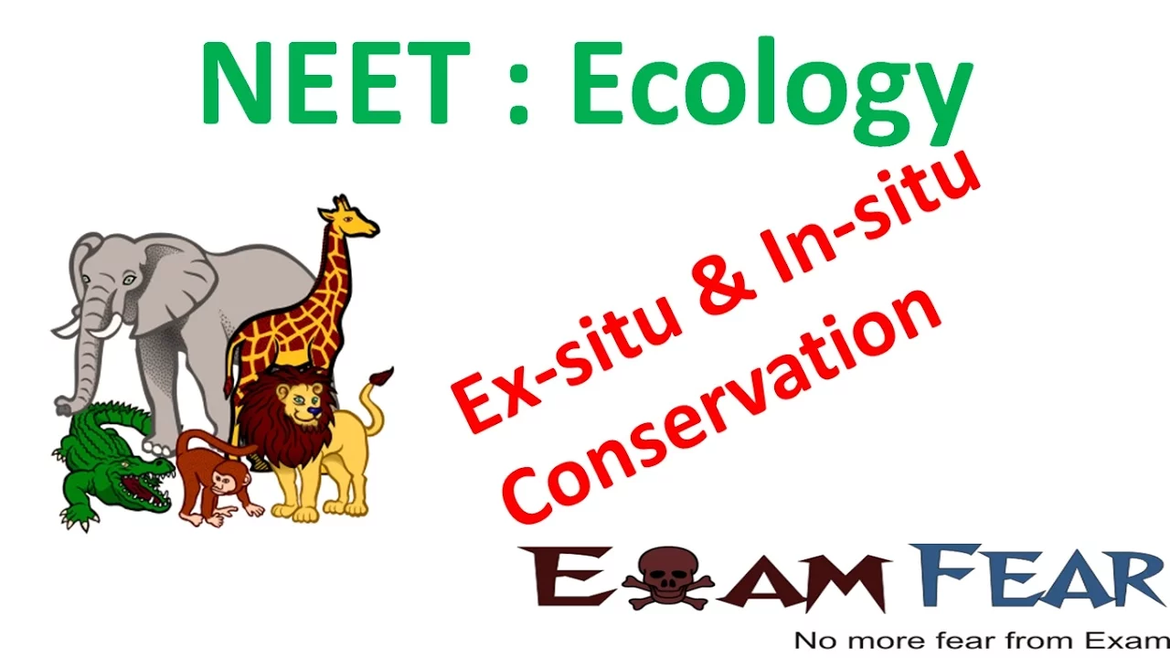 NEET Biology Ecology : Ex-situ and In-situ Conservation