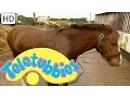 Teletubbies: Emily Washing the Pony - Full Episode