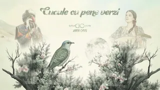 David Ciente x Maria Chivu - Cucule cu pene verzi