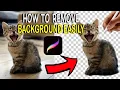 How to Remove a Background From an Image With Procreate on iPad Easy Method
