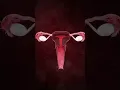Download Lagu Female Reproductive System 3D Animation | Ovulation | Menstrual Cycle #pregnancy #pregnant #shorts
