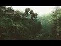 Gidge - Dusk