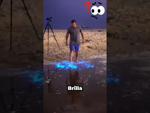 ¿Por Qué el Mar BRILLA Así? 🌊✨