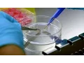 World s First Lab Grown Beef Dara O Briain s Science Club BBC Earth Science