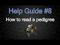 How to read horse pedigrees Help guide