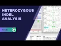 Heterozygous Indel Analysis in CodonCode Aligner