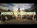 Download Lagu Solo man or Homo erectus soloensis