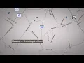 Deadly shooting in Newberry county