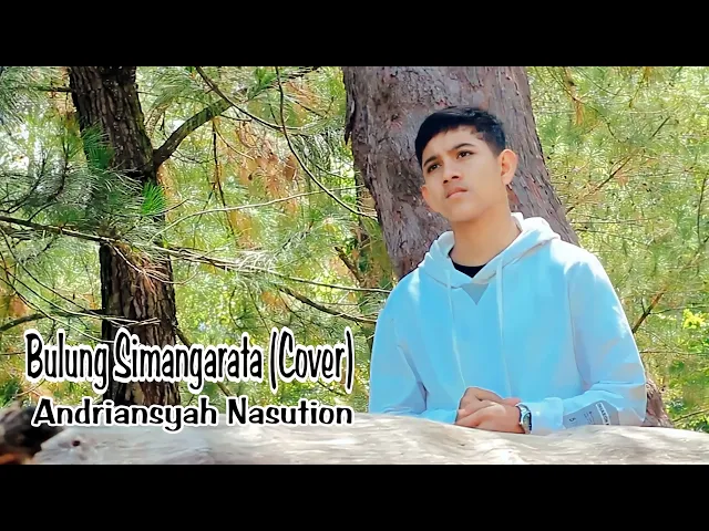 Download MP3 Bulung Simangarata ( Cover ) - Adriansyah Nasution