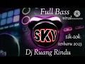 Download Lagu DJ Ruang Rindu Full BASS viral tiktok 2023@Adellanajwa