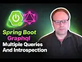 Spring Boot Grap l Multiple Queries And Introspection