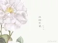 一輪花 - tuki.〔中日歌詞＋羅馬拼音〕