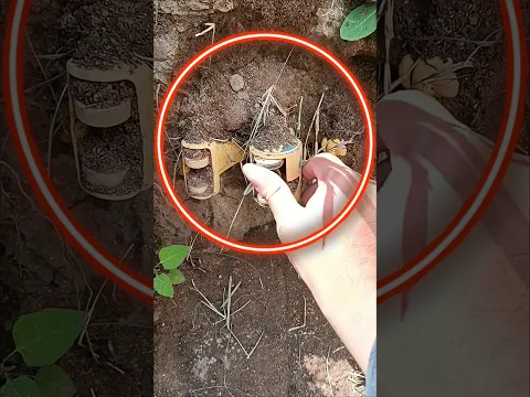 Hallazgo lo que encontré en la piscina abandonada vale una tremenda fortuna #piscinas #tesoros