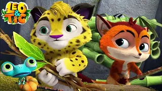 Leo and Tig: Summer Adventure Highlights 🦁 🐯  Moolt Kids Toons Happy Bear