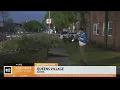 Powerful rain takes down tree in Queens